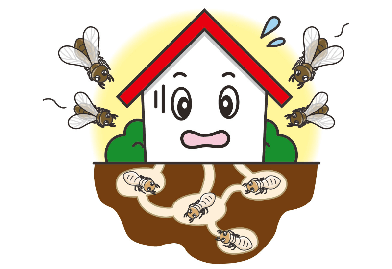 家とシロアリの巣